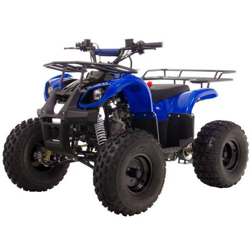 Tudo sobre 'Quadriciclo ATV BK-503HW 110CC Azul - Bull Motors'