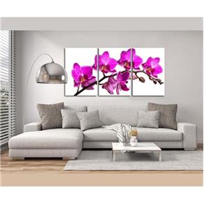 Quadro 60x120cm Flor Orquídea Rosa Decorativo Interiores - Oppen House