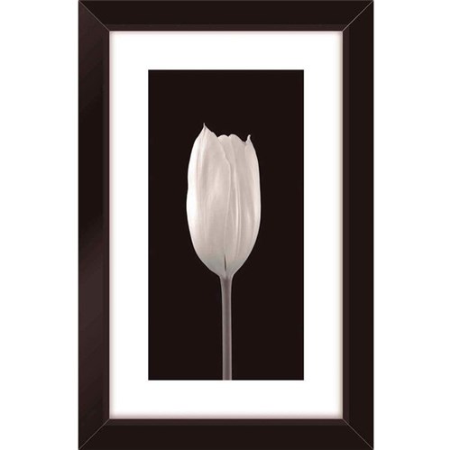 Tudo sobre 'Quadro Black Tulipa 19x29cm'