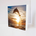 Quadro Decorativo - Dolphin Sunset (2) - Tag 16x16