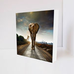 Quadro Decorativo - Elephant Roads - Tag 16x16