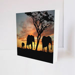 Quadro Decorativo - Elephants Sunset - Tag 16x16
