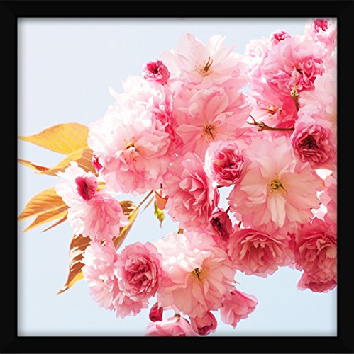 Quadro Decorativo - Flor de Cerejeira 30x30 Cm