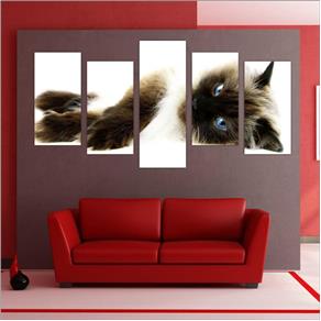 Tudo sobre 'Quadro Decorativo Gatos Mosaico 5 Peças Pet Shop Decoração'