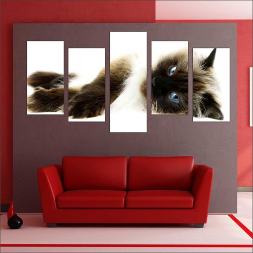 Quadro Decorativo Gatos Mosaico 5 Peças Pet Shop Decoração