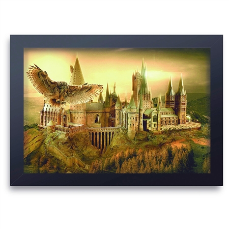 Quadro Decorativo Harry Potter Hogwarts 03