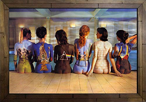 Quadro Decorativo Pink Floyd Women Back MDF 50 X 35 M056