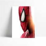 Quadro Decorativo - The Amazing Spider Man - Quadro 20x30