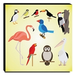 Quadro Infantil Animais Pássaros Canvas 30x30cm-inf413