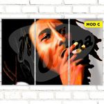 Quadro Triplo Decorativo - Bob Marley - Modelo C