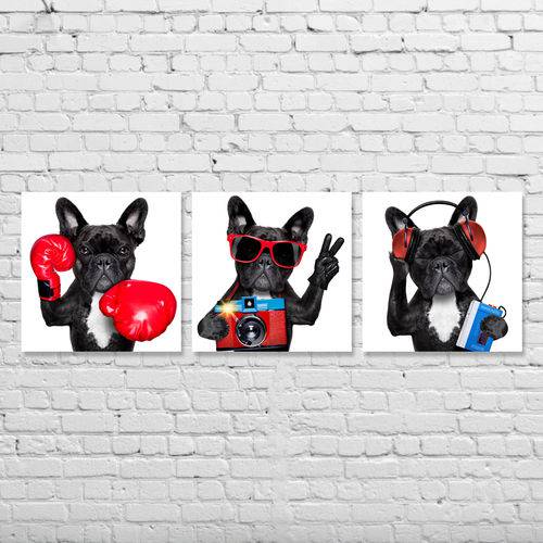 Tudo sobre '3 Quadros Cachorro Bulldog Francês Kit Tela Canvas para Sala Quarto Escritório'