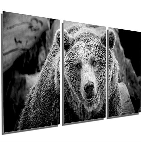 Quadros Decorativos Sala Quarto Natureza Urso