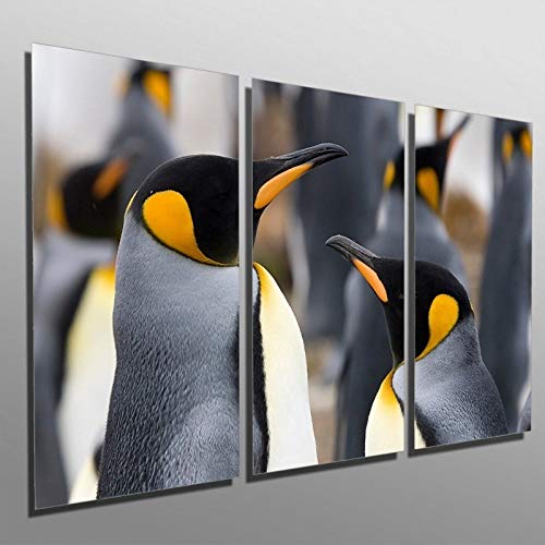 Quadros Decorativos Sala Quarto Pinguins