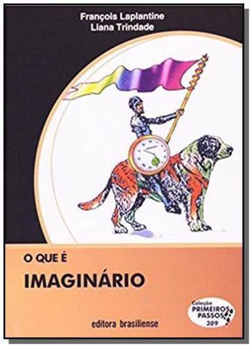 Que e Imaginario, o - Vol.309 - Colecao Primeiros - Brasiliense