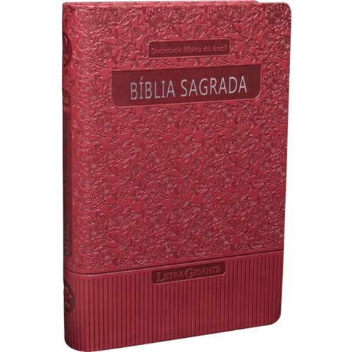Ra 065Tilgi - Bíblia Sagrada Letra Gigante Vermelho