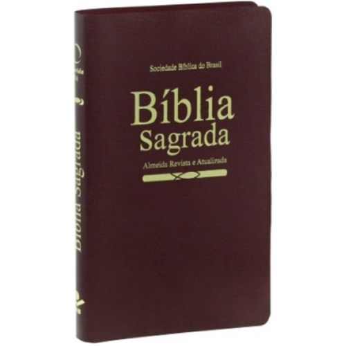 Ra065 - Bíblia Sagrada para Evangelização