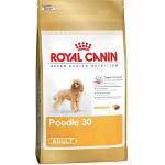 Ração Raças Específicas Poodle Adulto Royal Canin - 1 Kg