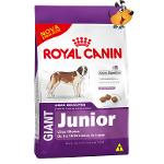 Ração Royal Canin Giant Júnior 15 Kg