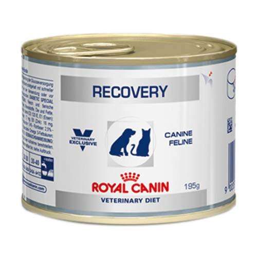 Ração Royal Canin Lata Canine e Feline Veterinary Diet Recovery Wet - 195 G