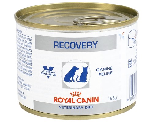 Ração Royal Canin Lata Canine e Feline Veterinary Diet Recovery Wet - 195 G