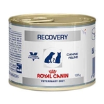Ração Royal Canin Lata Canine e Feline Veterinary Diet Recovery Wet