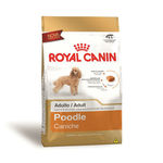 Ração Royal Canin Poodle - Cães Adultos - 1kg