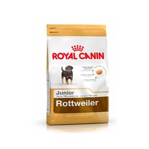 Tudo sobre 'Ração Royal Canin Rottweiler Junior 12 Kg'