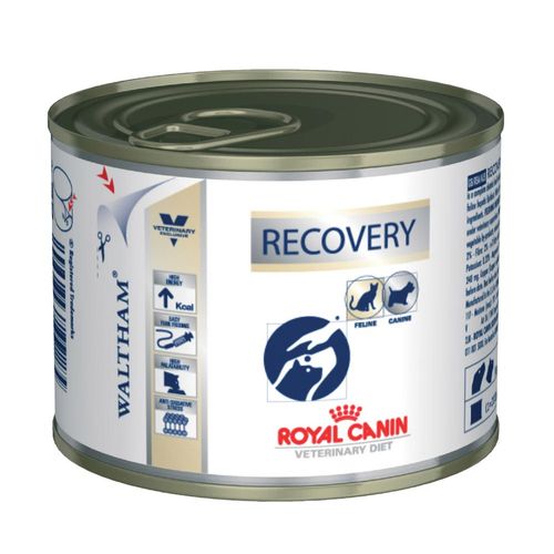 Ração Royal Canin Vet. Diet. Recovery Canine Lata - 195g 195g