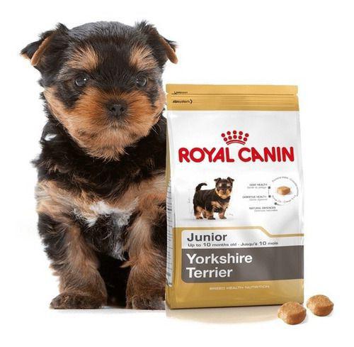 Ração Royal Canin Yorkshire Filhote 1kg