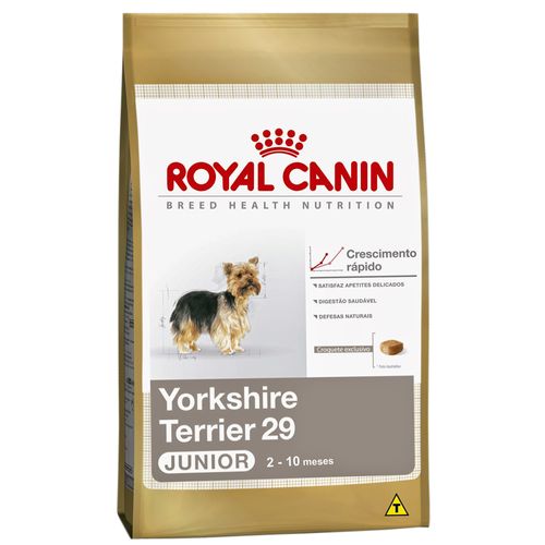 Tudo sobre 'Ração Royal Canin Yorkshire Terrier Junior 1kg'