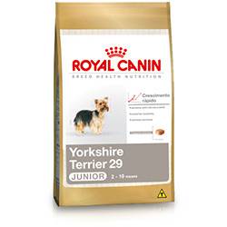 Ração Yorkshire Terrier Junior.29 1Kg - Royal Canin