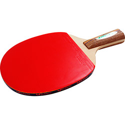 Raquete Butterfly Tenis Mesa Addoy A1
