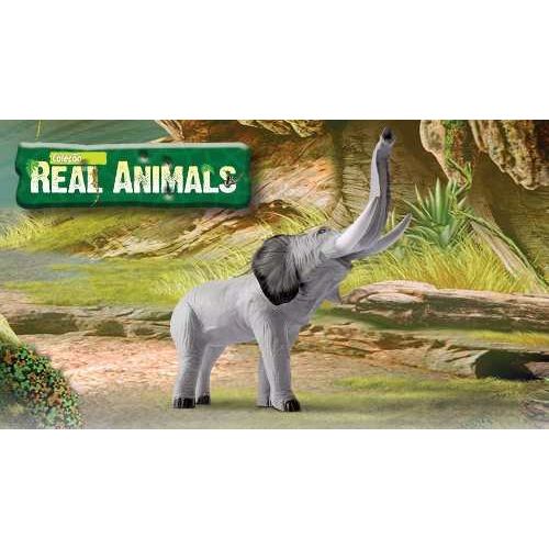 Real Animal Elefante 505 - Beetoys