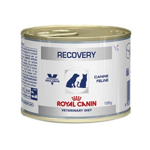 Recovery Royal Canin Veterinary Ração Lata ? Cães e Gatos ? 195 G