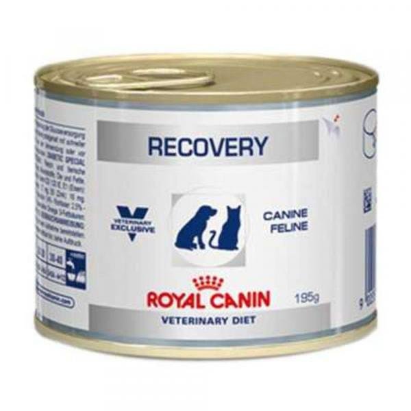 Recovery Royal Canin Veterinary Ração Lata Cães e Gatos 195 G