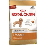 Royal Canin Poodle Adult - 1kg