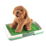 Sanitario Canino - Banheiro para Cães com Grama
