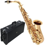 Saxofone Alto Eagle SA-501 Laqueado em Mib (Com Case)