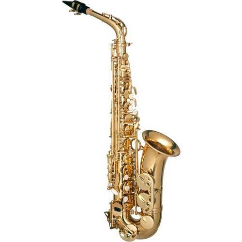Tudo sobre 'Saxofone Alto Hofma Hsa 400 Glq C/ Case Luxo'