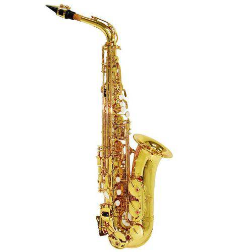 Tudo sobre 'Saxofone Alto Shelter Sgft6430l Laqueado Dourado em Eb C/ Estojo'