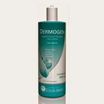 Shampoo Dermogen Equilíbrio 500 Ml