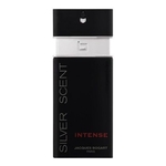 Silver Scent Intense Jacques Bogart - Perfume Masculino - Eau De Toilette 100ml