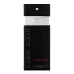 Silver Scent Intense Jacques Bogart - Perfume Masculino - Eau De Toilette 100ml