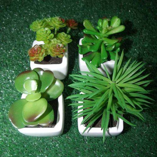 Tudo sobre 'Suculenta Mini Planta Artificial com Vaso Branco Mudas Enfeite Festa Kit com 4 Unid'