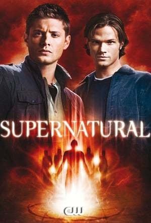 Supernatural 05ª Temporada - Pen-Drive Vendido Separadamente