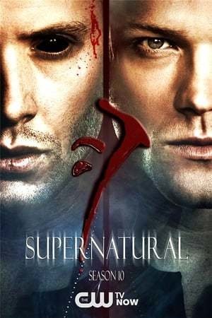 Supernatural 10ª Temporada - Pen-Drive Vendido Separadamente