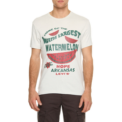 Camiseta Levi's Estampa Watermelon