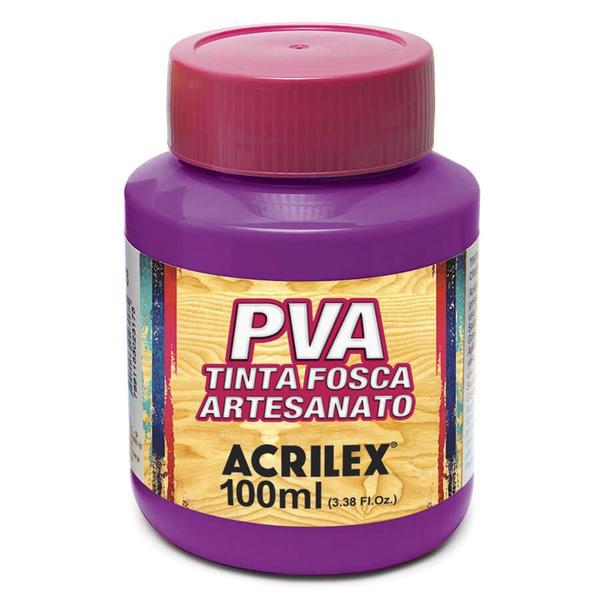 Tinta Plástica PVA - 100ml - Magenta - 549 - Acrilex