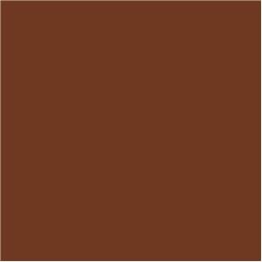 Tinta PVA para Artesanato Fosca 37ml Cores Escuras - True Colors 7152 - Chocolate True Colors