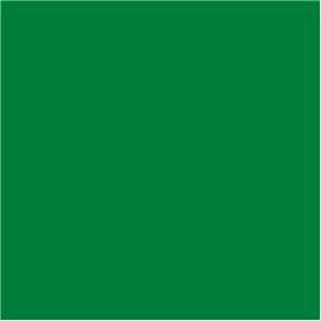 Tinta PVA para Artesanato Fosca 37ml Cores Escuras - True Colors 7167 - Verde Folha True Colors